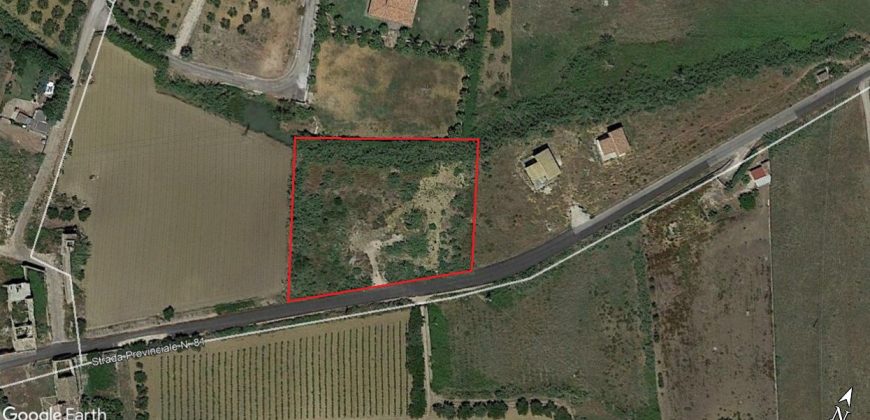 Terreno agricolo in vendita a Partinico, Contrada Valguarnera