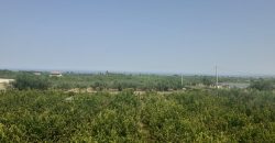 Villa in vendita a Partinico, Contrada Cicala