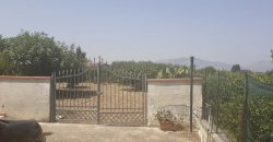 Villa in vendita a Partinico, Contrada Cicala
