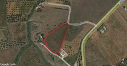 Terreno agricolo in vendita a Partinico, Contrada Susinna