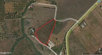 Terreno agricolo in vendita a Partinico, Contrada Susinna