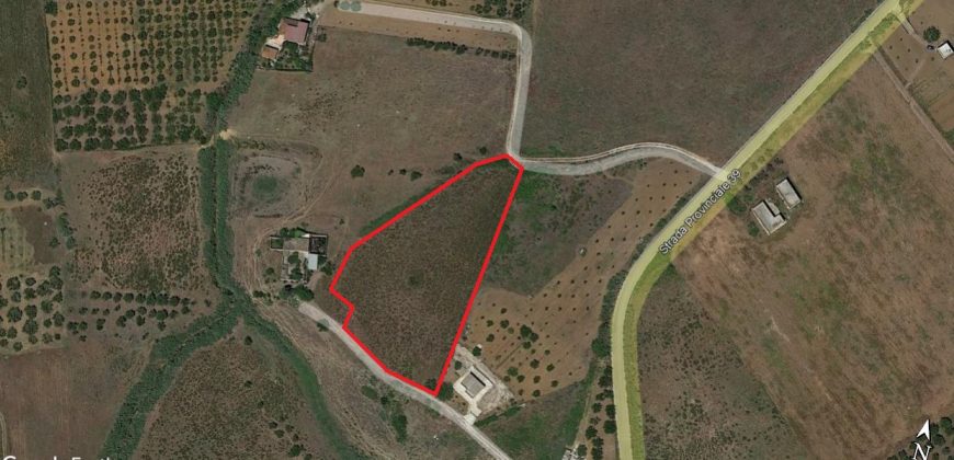 Terreno agricolo in vendita a Partinico, Contrada Susinna