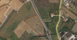 Rudere in vendita a Partinico, Borgo Parrini