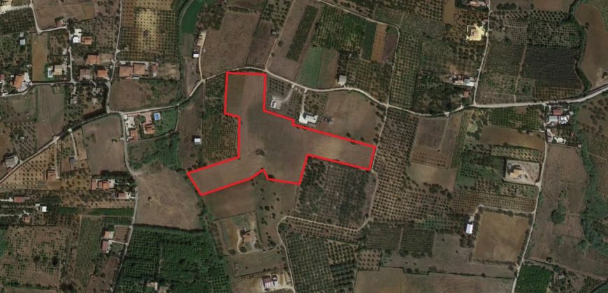 Terreno agricolo in vendita a Partinico, Contrada Tammi