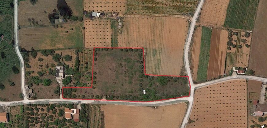 Terreno agricolo in vendita a Partinico, Contrada Milioto