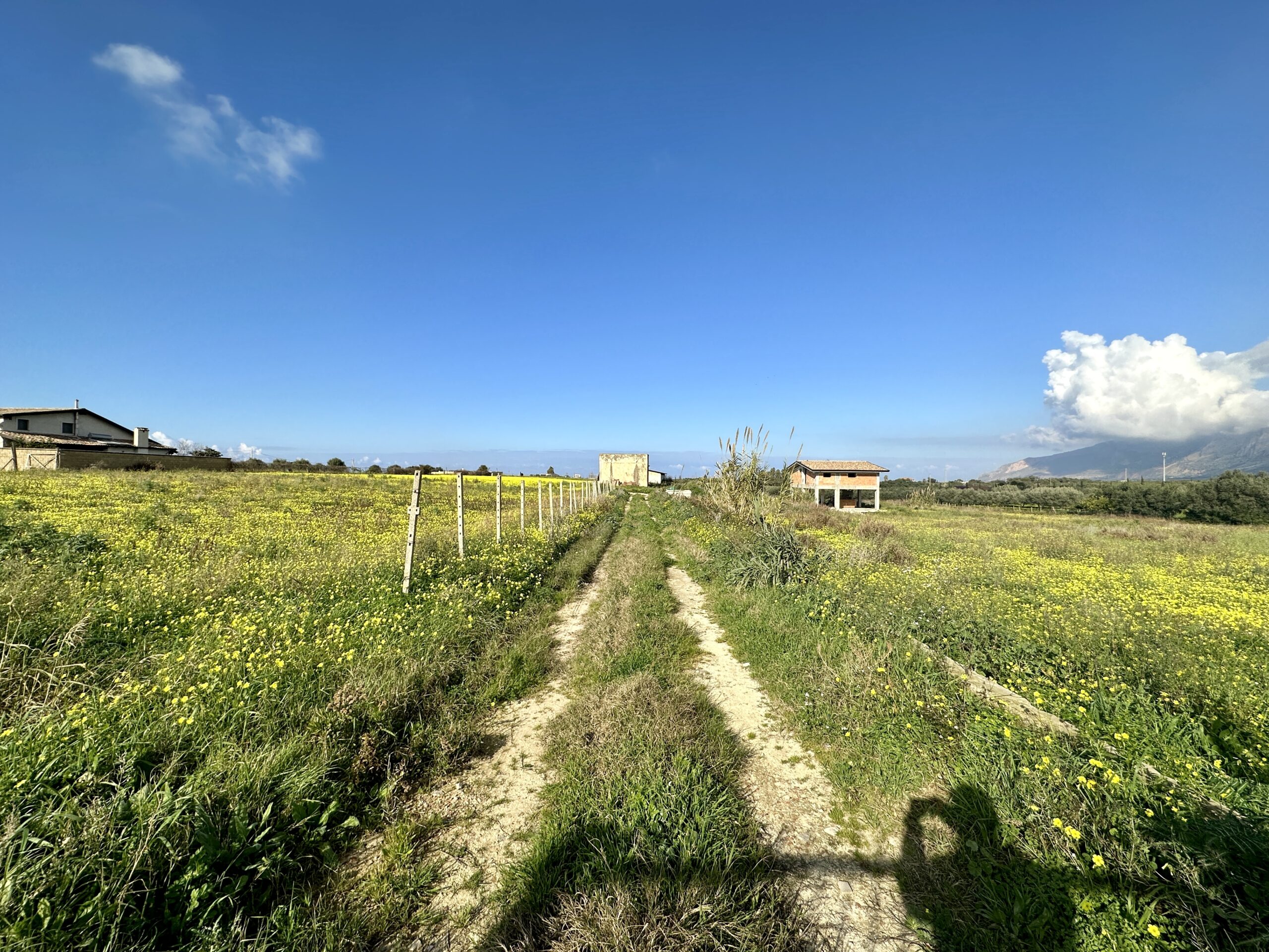 Terreno agricolo con case in vendita a Partinico, Via Madonna del Ponte