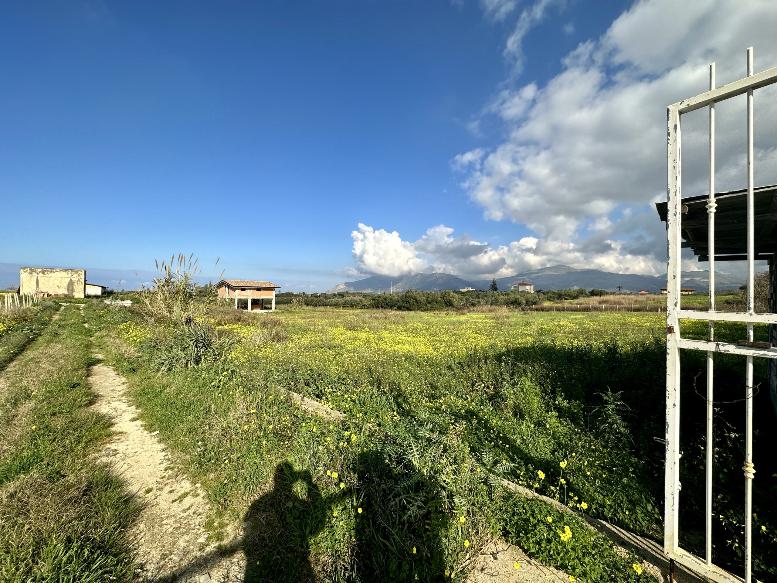 Terreno agricolo con case in vendita a Partinico, Via Madonna del Ponte