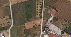 Terreno agricolo il vendita a Partinico, Contrada Timpanella