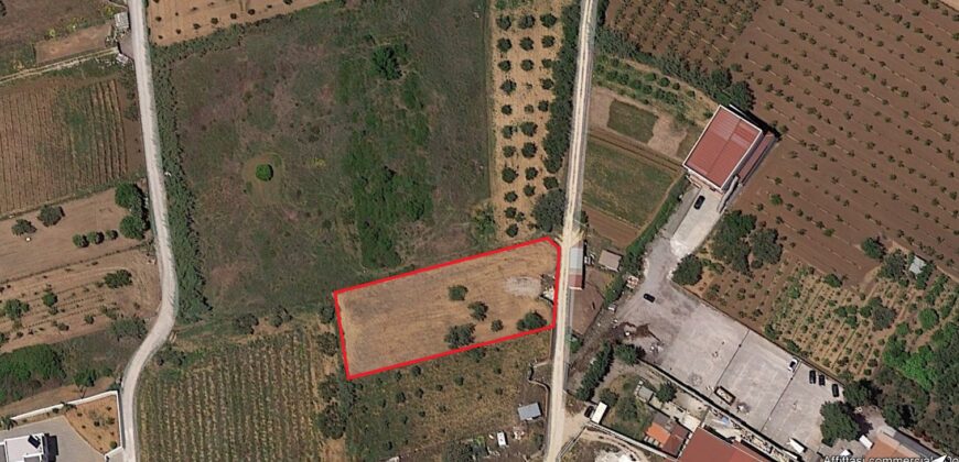 Terreno agricolo il vendita a Partinico, Contrada Timpanella