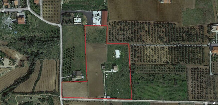 Terreno agricolo con case in vendita a Partinico, Via Madonna del Ponte