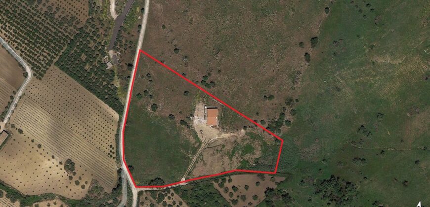 Villa in vendita a Partinico, Contrada Mirto