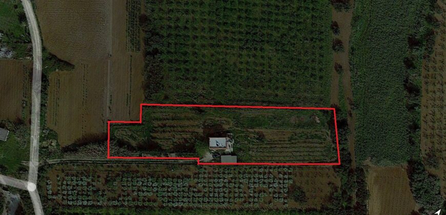 Villetta in vendita a Partinico, Contrada Vacanti
