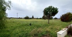 Villa in vendita a Partinico, contrada Parrini