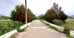 Villa in vendita a Partinico, contrada Parrini