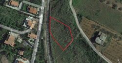 Terreno Agricolo in Vendita a Partinico, C/da San Giuseppe