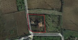 Villa in Vendita a Partinico, Contrada Bosco Falconeria