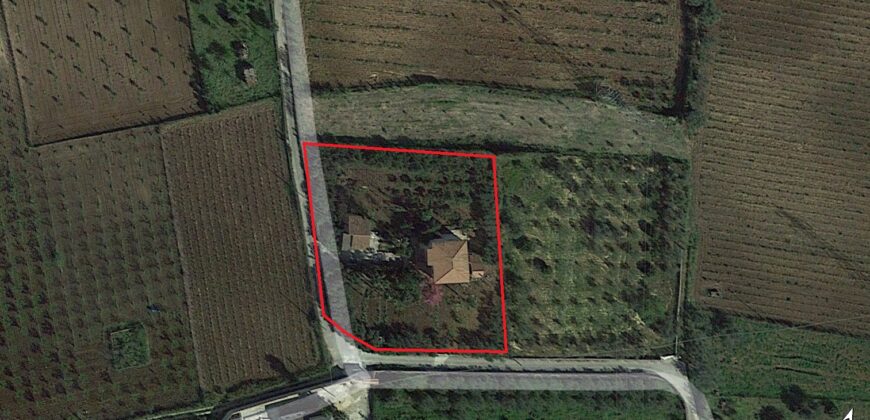 Villa in Vendita a Partinico, Contrada Bosco Falconeria