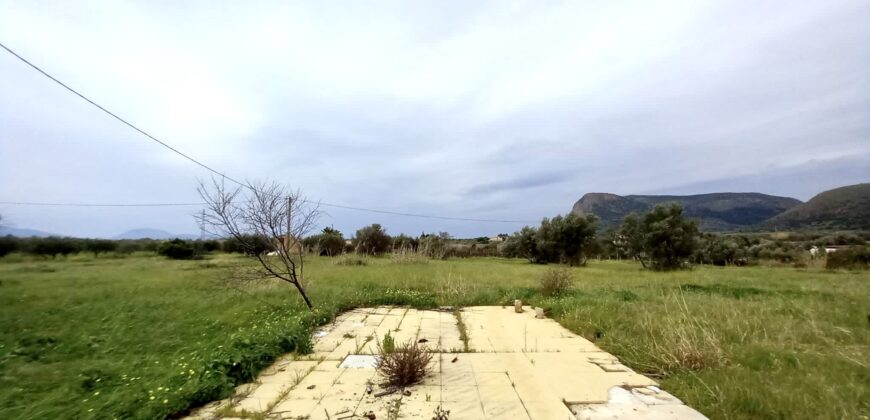 Villa in vendita a Partinico, contrada Parrini