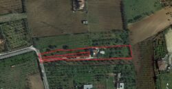 Villa in vendita a Partinico, Contrada Bosco Falconeria