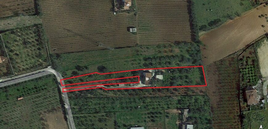 Villa in vendita a Partinico, Contrada Bosco Falconeria