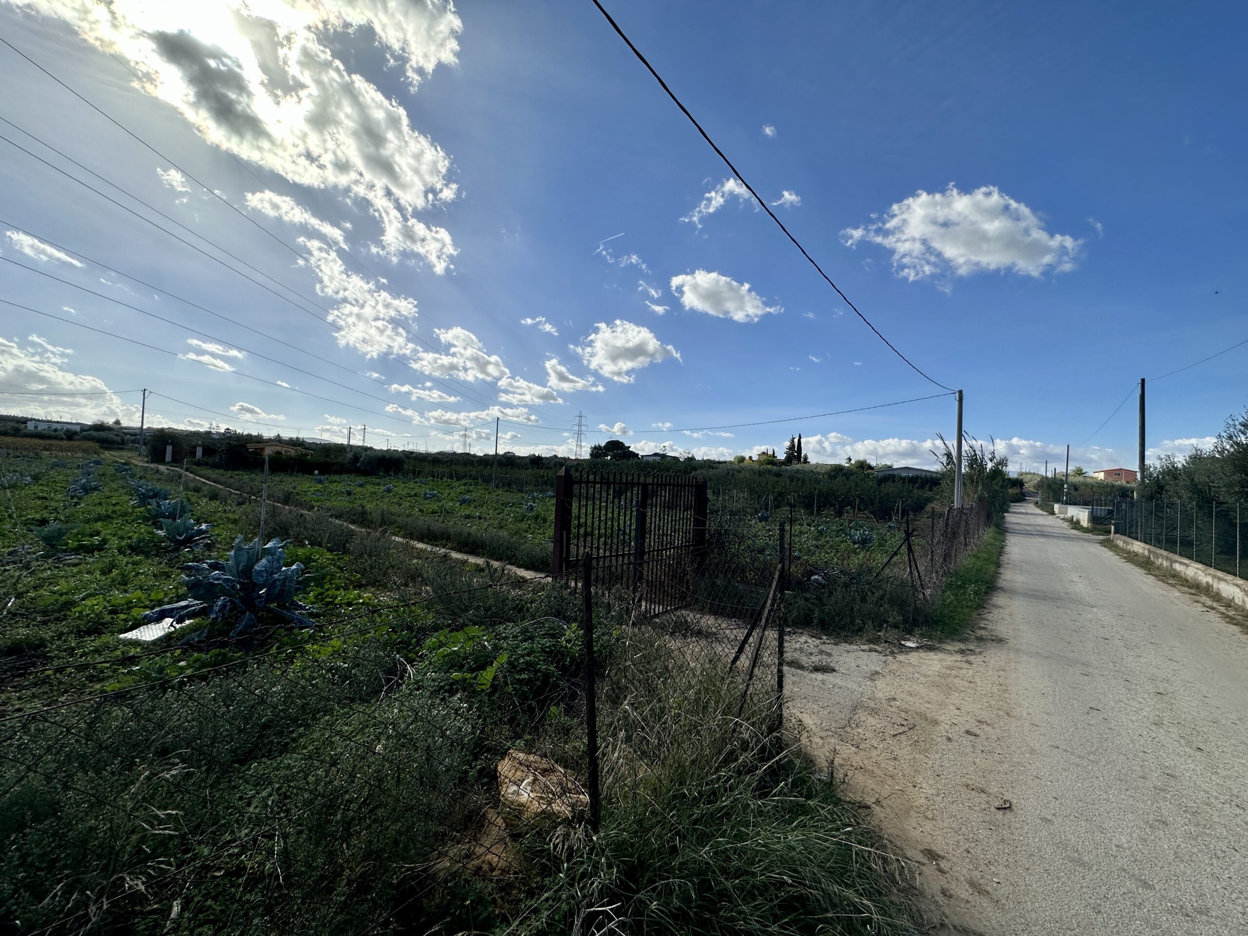 Terreno Agricolo in vendita a Partinico, Contrada Pacino