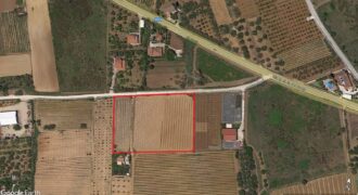 Terreno Agricolo in vendita a Partinico, Contrada Pacino