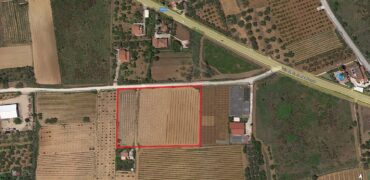 Terreno Agricolo in vendita a Partinico, Contrada Pacino