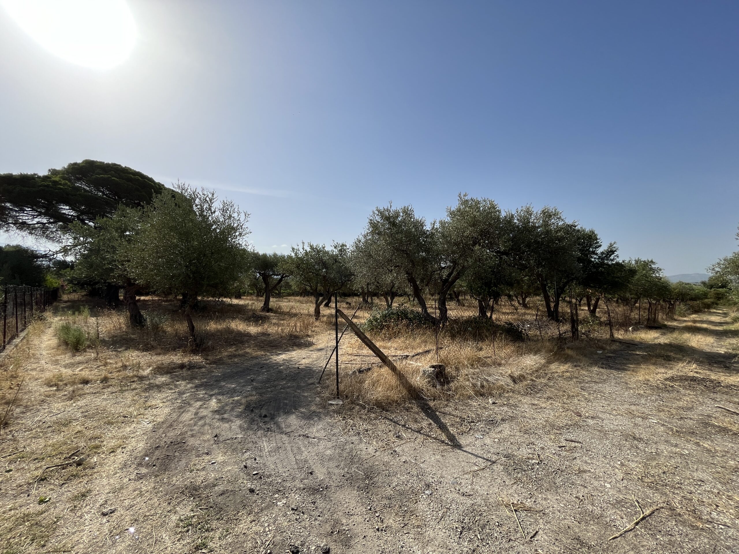Terreno agricolo con case in vendita a Camporeale, Cda Valdibella